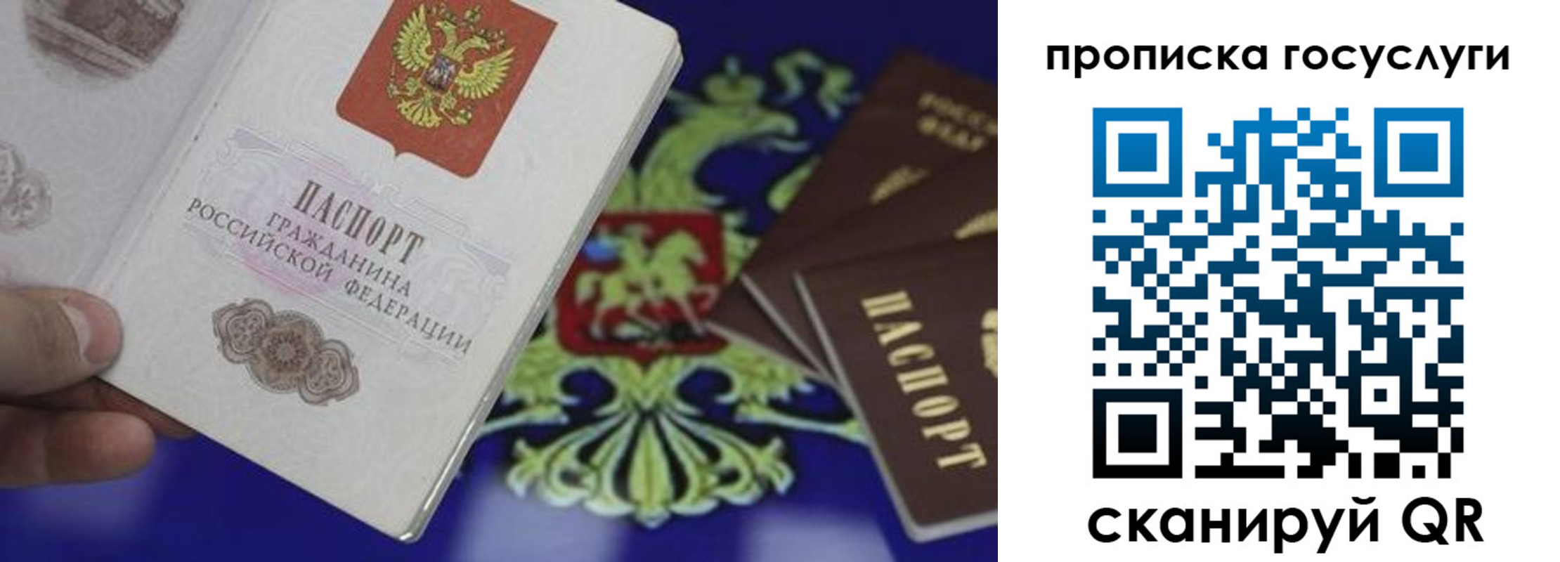 прописка для школы в Бакале